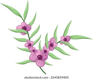 Pequenas Flores Longa Folha Weeds