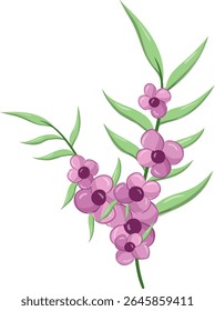 Pequenas Flores Longa Folha Weeds