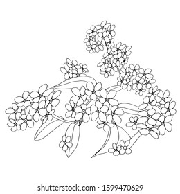 small, flowers, petals, bouquet, wreath