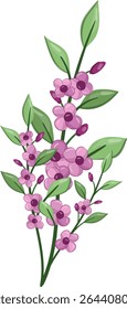 Flores Pequenas Planta de Flor primavera