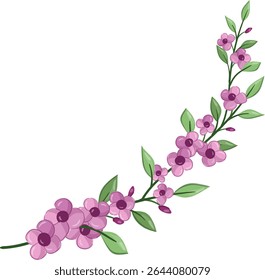 Flores Pequenas Planta de Flor primavera