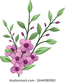 Flores Pequenas Planta de Flor primavera
