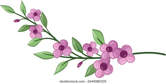 Flores Pequenas Planta de Flor primavera