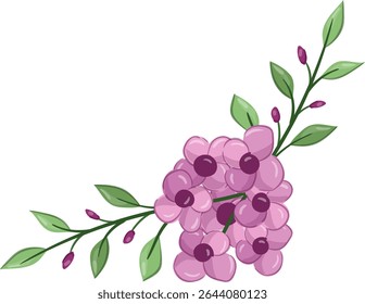 Flores Pequenas Planta de Flor primavera
