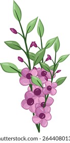 Flores Pequenas Planta de Flor primavera