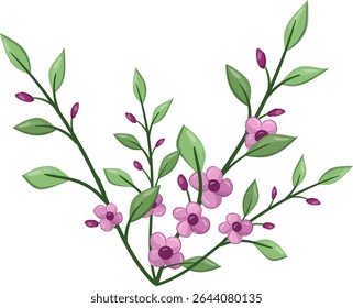 Flores Pequenas Planta de Flor primavera