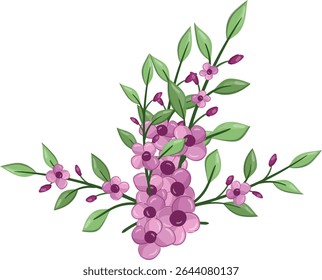 Flores Pequenas Planta de Flor primavera