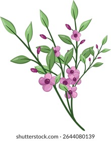 Flores Pequenas Planta de Flor primavera