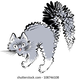 The small fluffy cat arched its back and aggressively looks.