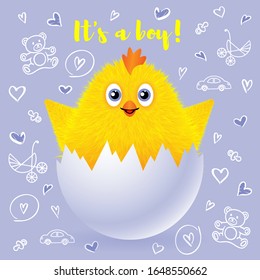 A small fluffy chicken hatched from an egg. Vector illustration of a happy birthday card.