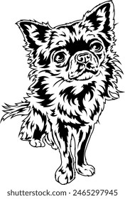 A small fluffy dog. Vector outline illustration without background