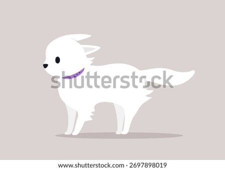 A small, fluffy white dog with a purple collar stands bravely in the wind, as a a strong gust ruffles its fur, creating a humorous and heroic atmosphere.