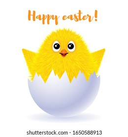 A small fluffy yellow chicken is smiling on a white background. Vector illustration of a happy Easter greeting card