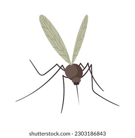 Small flying mosquito insect. Vector illustration