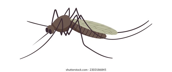 Kleines fliegendes Moskitoninsekt. Vektorgrafik