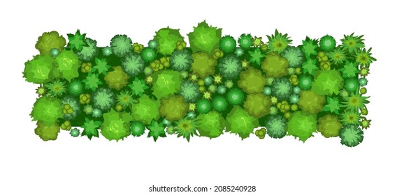 Small forest with height. Park with trees. View from above. Plant landscape. Island. Green wildlife. Top view. Background illustration in cartoon style. Isolated Vector.