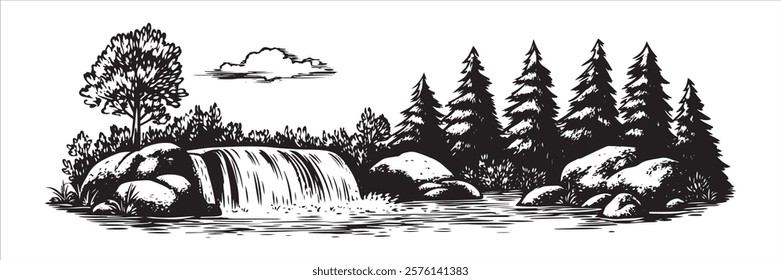 small forest waterfall with rocks and pine trees in black and white hand-drawn style