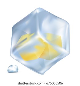 Small frozen lemon cubes in big cold ice cube with shiny water drop beside isolated vector illustration on white background.