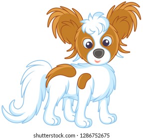 Small funny dog Papillon friendly smiling, vector illustrations in a cartoon style
