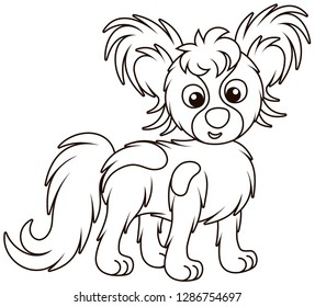 Small funny dog Papillon friendly smiling, black and white outline vector illustrations in a cartoon style for a coloring book