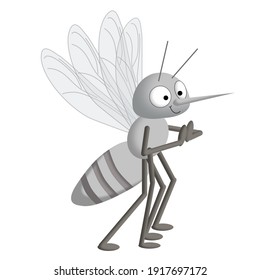 Small funny grey mosquito with stripes big eyes and smile