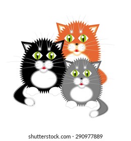 Small funny kittens. Red, black and gray