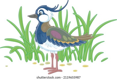 Pequeña y divertida caída caminando entre la hierba verde de un prado cerca de un lago, ilustración de caricatura vectorial aislada en un fondo blanco