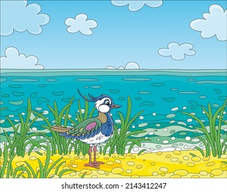 Pequeña y divertida caída caminando entre hierba verde cerca del mar en un soleado día de verano, ilustración vectorial de dibujos animados