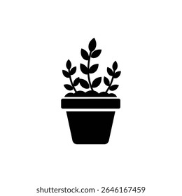 Small Garden Inside Pot for Indoor Planting and Greenery