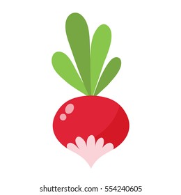 Small garden radish isolated vector illustration.