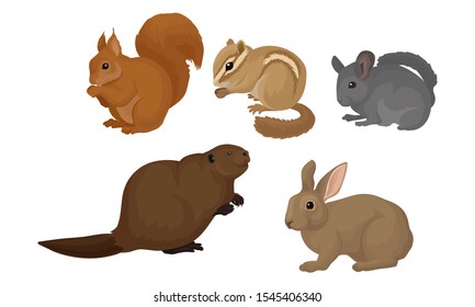 Small Gnawing Animals Vector Set Isolated On White Background