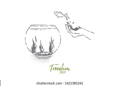 Small goldfish jumping in fishbowl, hand let fish go, domestic pet leap in glass aquarium with seaweed. Opportunity metaphor, freedom, liberty illusion concept sketch. Hand drawn vector illustration