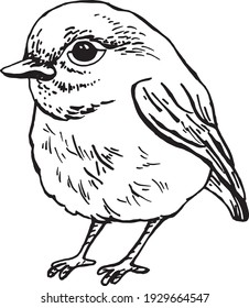Kleiner grafischer Vogel, Vektorclip-Kunst