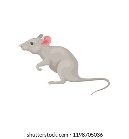 Small gray mouse standing on hind legs, side view. Domestic mice. Cute rodent with pink ears and long tail. Flat vector icon