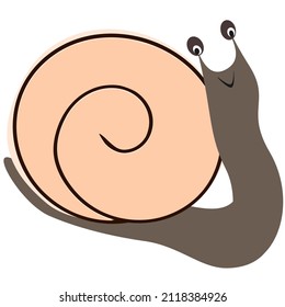 small gray snail vector illustration