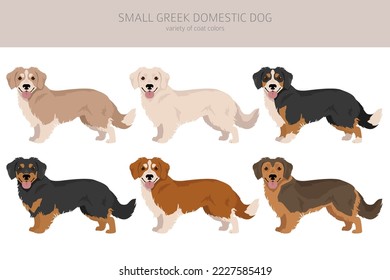 Small Greek Domestic dog clipart. All coat colors set.  All dog breeds characteristics infographic. Vector illustration