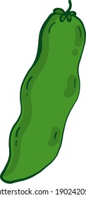 Judía verde pequeño, ilustración, vector sobre un fondo blanco.