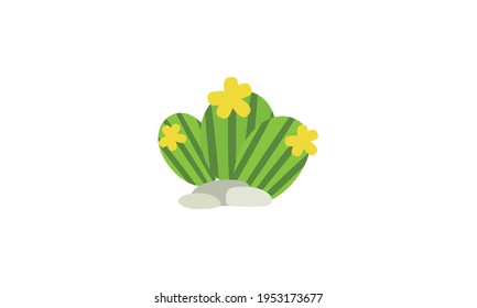 A small green cactus that sits beautifully on top of a pot.