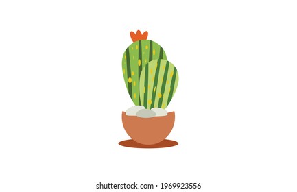 A small green cactus that sits beautifully on top of a pot.