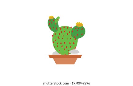 A small green cactus that sits beautifully on top of a pot.