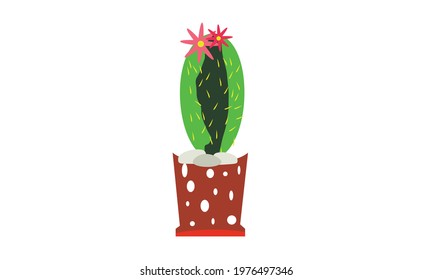 A small green cactus that sits beautifully on top of a pot.