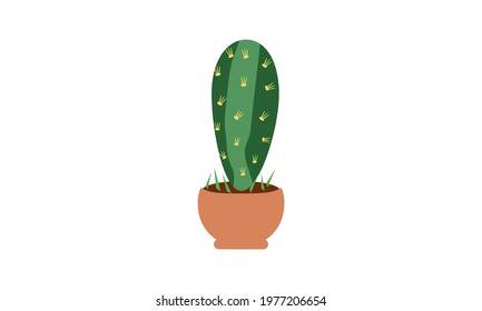 A small green cactus that sits beautifully on top of a pot.
