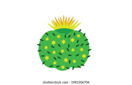 Un pequeño cactus verde que se sienta bellamente sobre una olla.