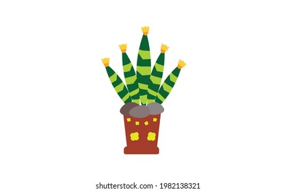 A small green cactus that sits beautifully on top of a pot.
