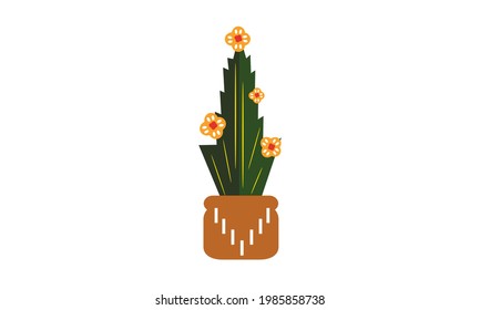 A small green cactus that sits  on top of a pot.
