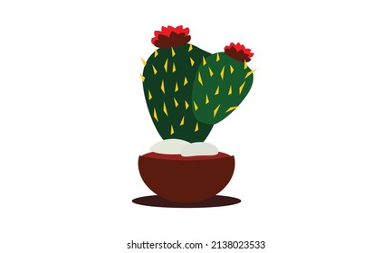 A small green cactus that sits beautifully on top of a pot.