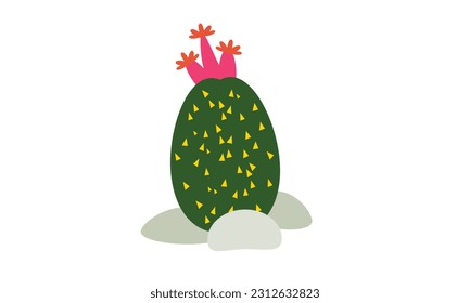 A small green cactus that sits beautifully on top of a pot.