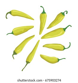 small green chili vector