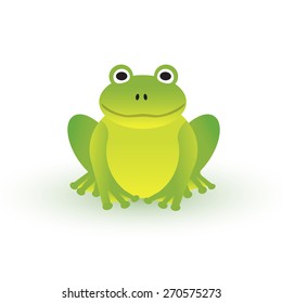 Small green frog on white background