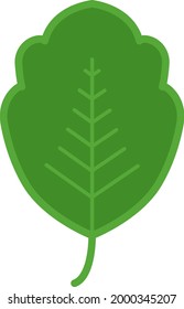 Small green leaf, illustration, on a white background.